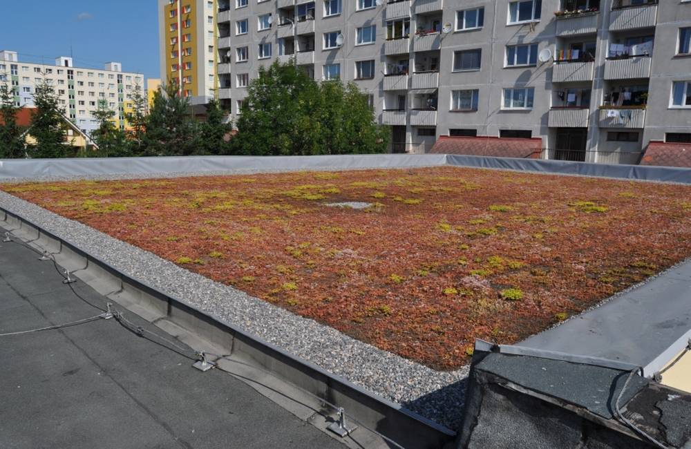 Foto: ZŠ Gaštanová má jedinečný projekt zelenej strechy