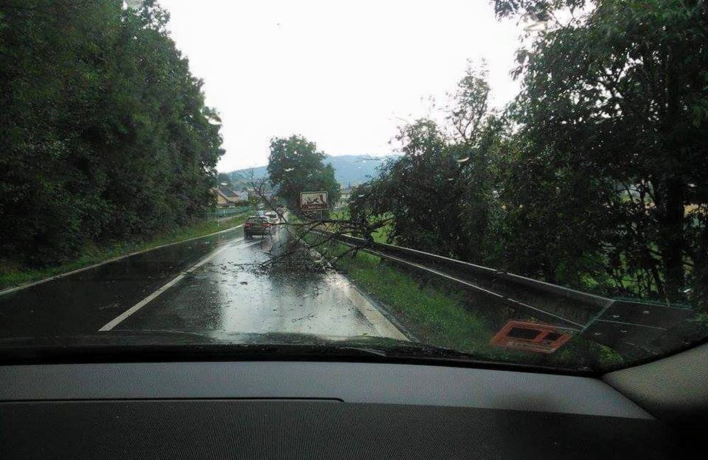 Foto: Pozor na ceste cez Bytčicu, na ceste je spadnutý strom