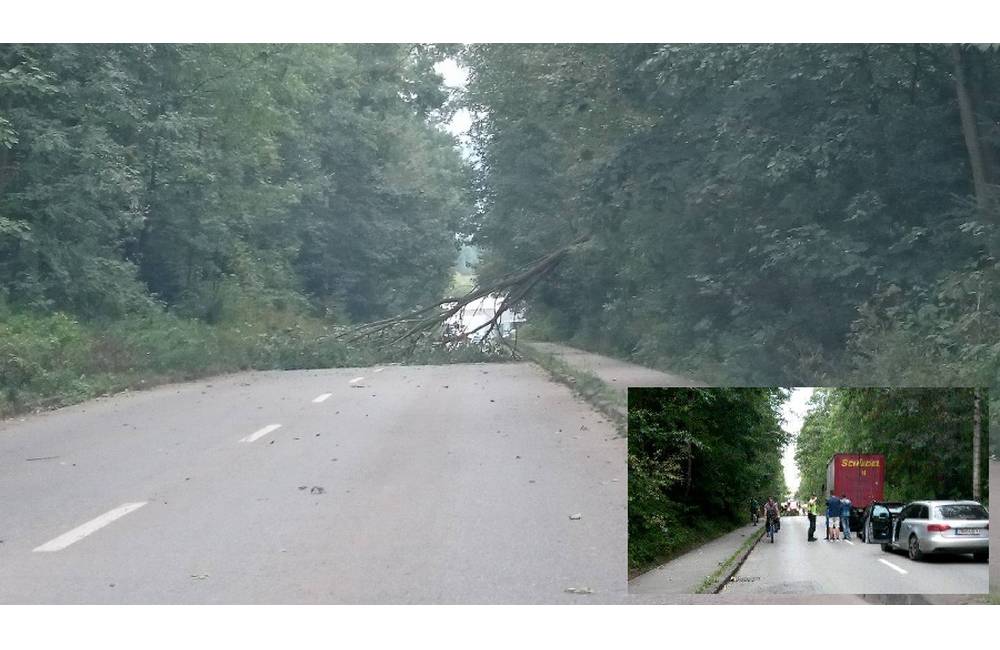 Foto: Na ulici Vysokoškolákov, v časti lesoparku spadol na cestu strom, tvoria sa kolóny