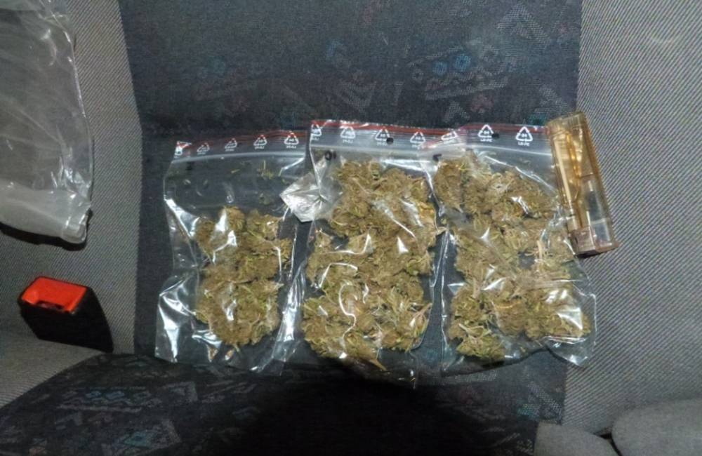 Foto: U 28-ročného kysučana našli colníci marihuanu. Tvrdil, že ju našiel v tráve