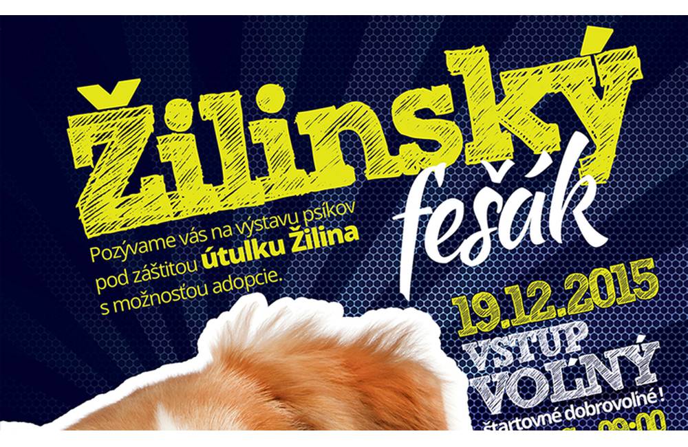 Foto: Žilinský fešák - výstava psíkov z útulku - 19.12.2015