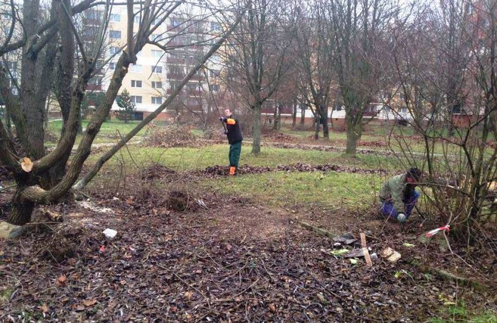 Foto: Na sídlisku Vlčince vznikne nová komunitná záhrada. Pribudnú lavičky, chodníky a internet