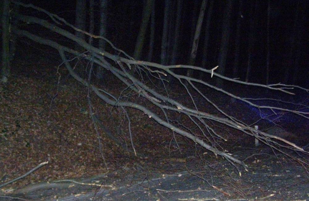 Foto: V žilinskom okrese fúka silný vietor, v obci Stráža padajú prvé stromy, cesta je neprejazdná