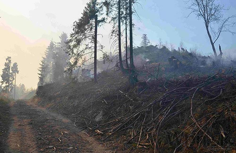 Foto: Na Dubni pri Tepličke nad Váhom horí les, zasahujú hasiči