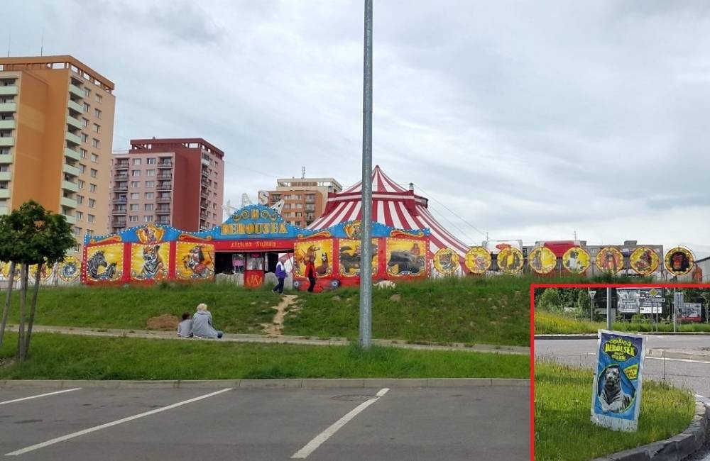 Foto: Do Žiliny zavítal cirkus, obyvatelia mesta ho nahlasujú na polícii
