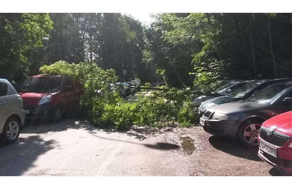 Foto: Na Hlbokej ceste spadol strom na cestu, úsek bol dočasne neprejazdný