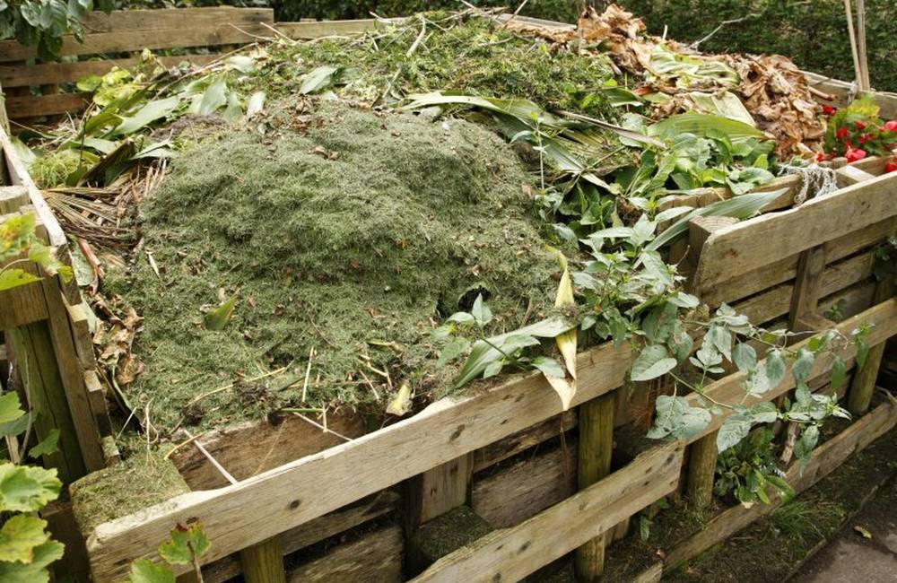Foto: Bio odpad môžete bezplatne odovzdať v zberni v Považskom Chlmci