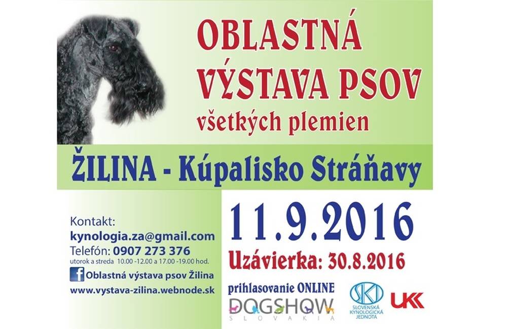 Foto: V obci Stráňavy sa bude konať výstava psov všetkých plemien