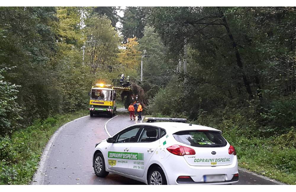 Foto: Na Veľkom dieli spadol strom na trolejové vedenie, situácia komplikuje dopravu v meste
