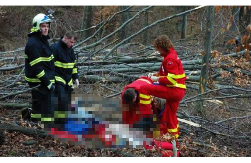 Foto: Medzi obcami Zbyňov a Jasenové spadol na muža strom