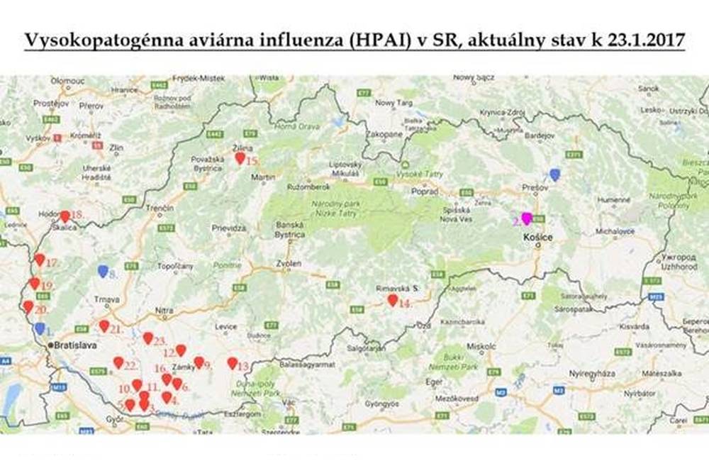 Foto: Počet prípadov vtáčej chrípky na Slovensku stúpa