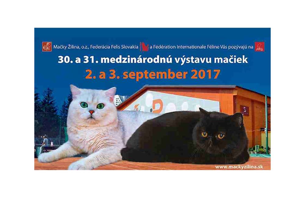 30. a 31. medzinárodná výstava mačiek prebehne 2. až 3. septembra 2017 v hale Tennis Point