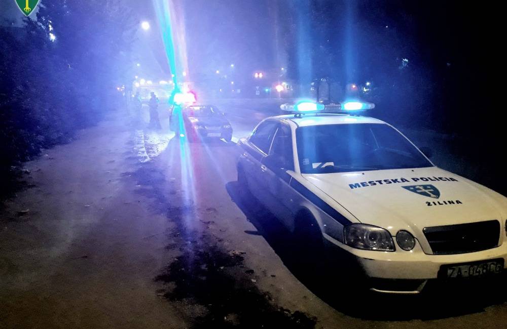 Mestskí policajti pomohli zadržať vodiča, ktorý šoféroval s dvomi promile