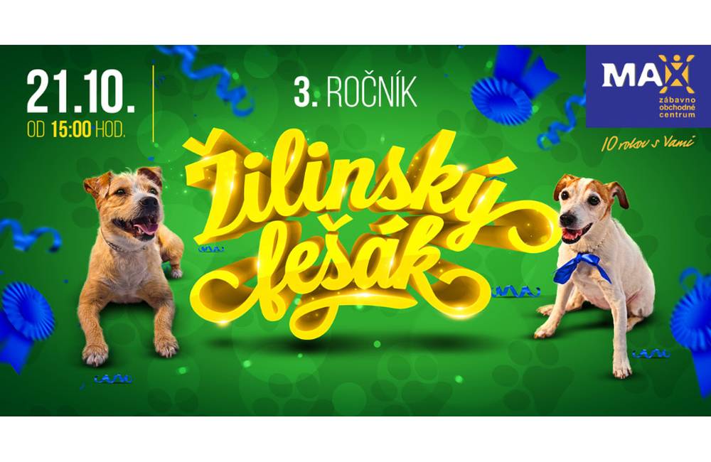 Najkrajších psíkov v Žiline budú hľadať v rámci podujatia ŽILINSKÝ FEŠÁK 2018