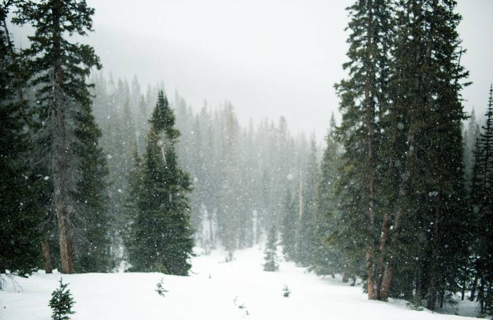 Vo viacerých okresoch Žilinského kraja sa očakáva silné sneženie, spadnúť môže až pol metra snehu