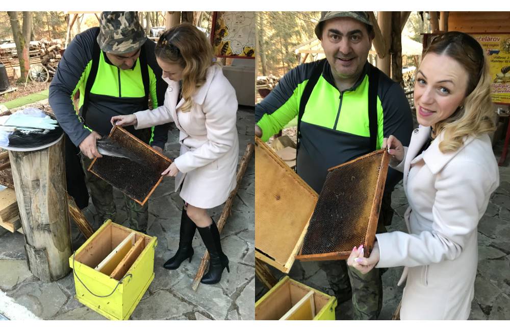  Starostka obce Povina darovala dorovnanie mzdy včelárom na Kysuciach, ktorí za to kúpia úľ