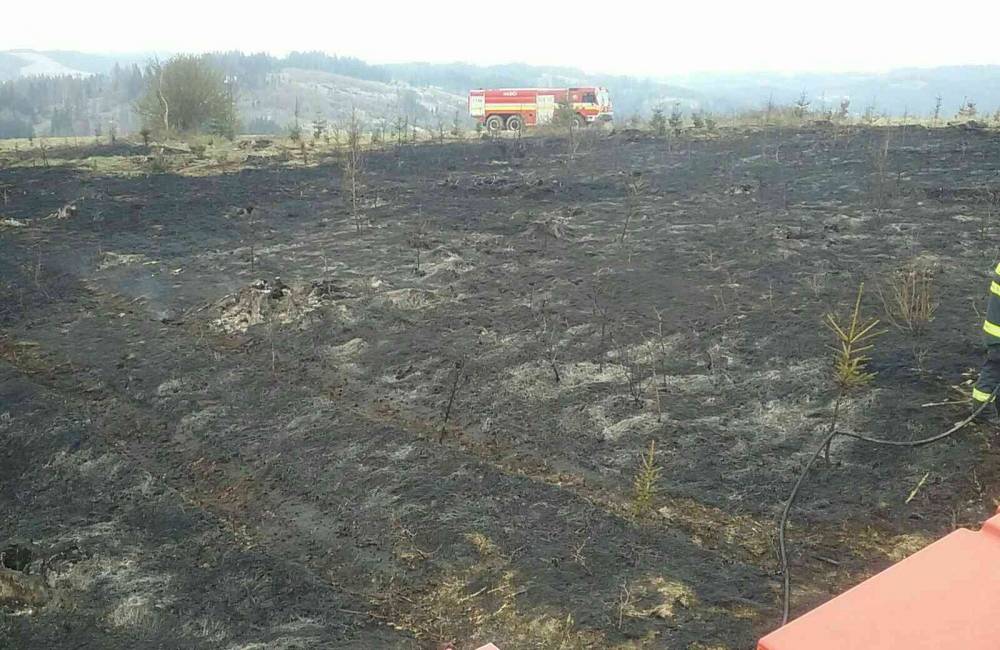Foto: V obci Raková horel lesný porast na ploche približne 300 x 500 metrov, zasahovali desiatky hasičov