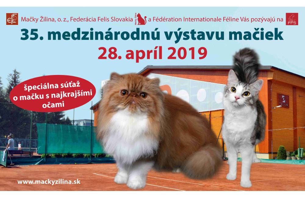 35. medzinárodná výstava mačiek opäť zavíta do Žiliny už 28. apríla 2019 v  hale Tennis Point