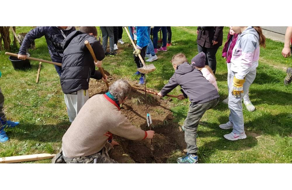 Deti zo základnej školy v Predmieri sadili stromy, zážitkové sadenie pripravilo združenie Zalesňuj