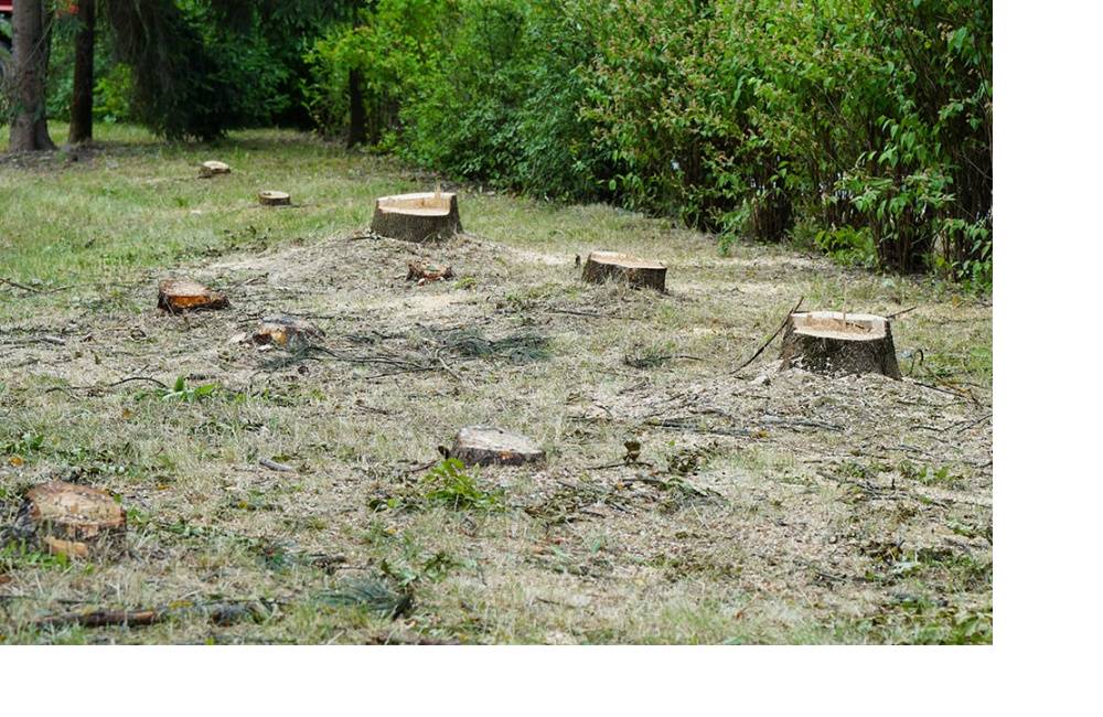 Výmena rozvodov tepla v Žiline si vyžiada výrub stromov aj obmedzenia pre obyvateľov