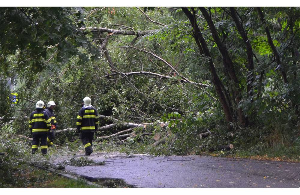 Foto: V súvislosti s búrkami vykonali hasiči 196 výjazdov, v Žilinskom kraji odstraňovali spadnuté stromy