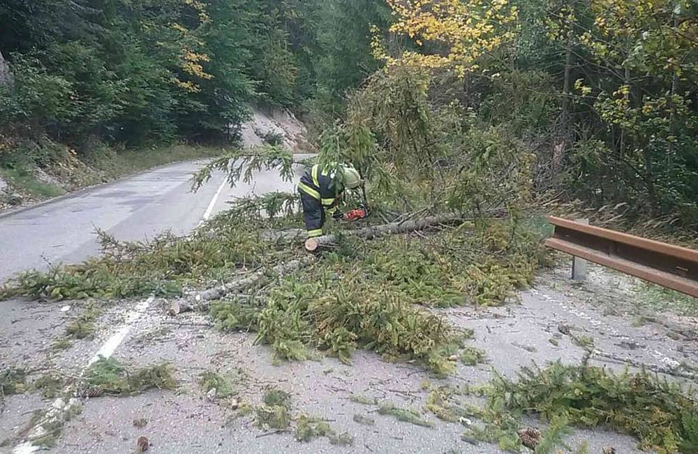 Silný vietor si vyžiadal už 171 zásahov hasičov, najčastejšie odstraňujú popadané stromy