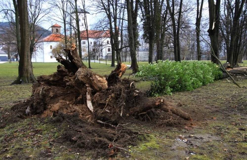 AKTUÁLNE: V areáli Budatínskeho parku vyvrátilo strom, Považské múzeum vydalo upozornenie