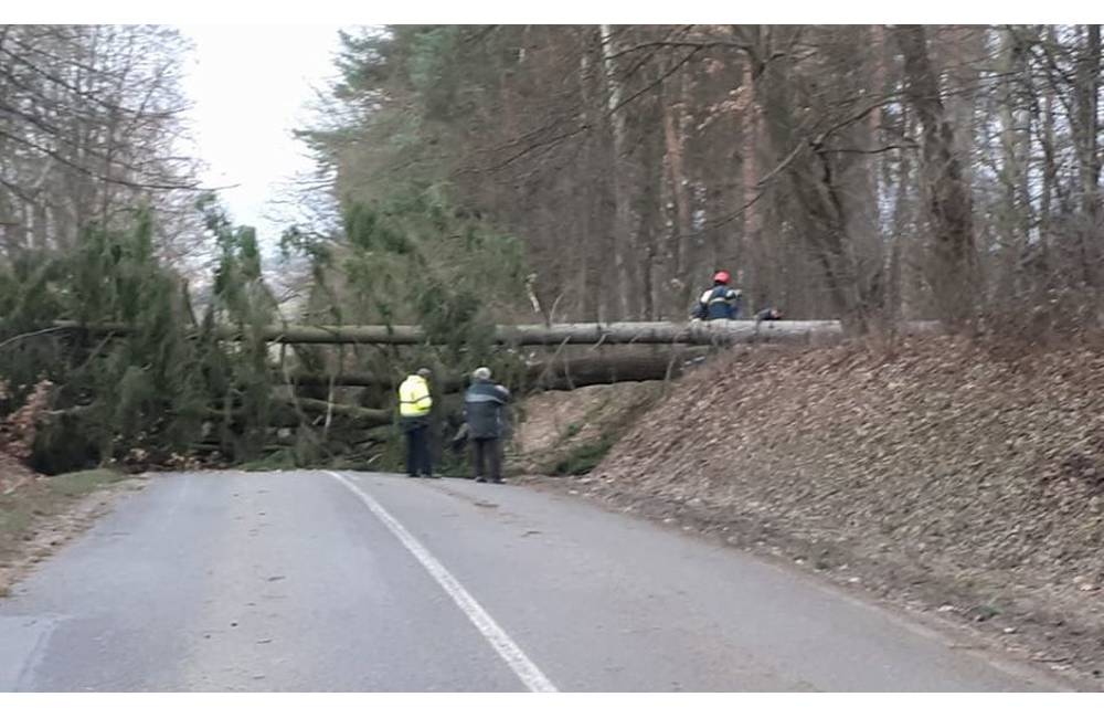 Aj počas dnešného dňa sa očakáva silný vietor, mesto Žilina varuje návštevníkov lesoparku Chrasť