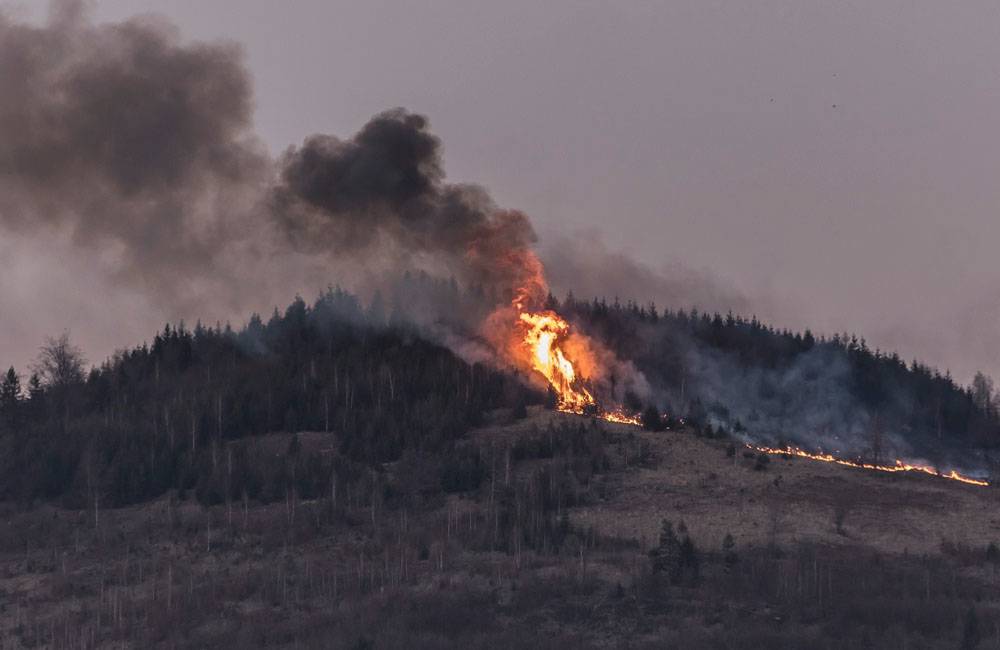 Foto: AKTUÁLNE: V lese nad Považským Chlmcom vypukol požiar, zasahuje viac ako 30 hasičov