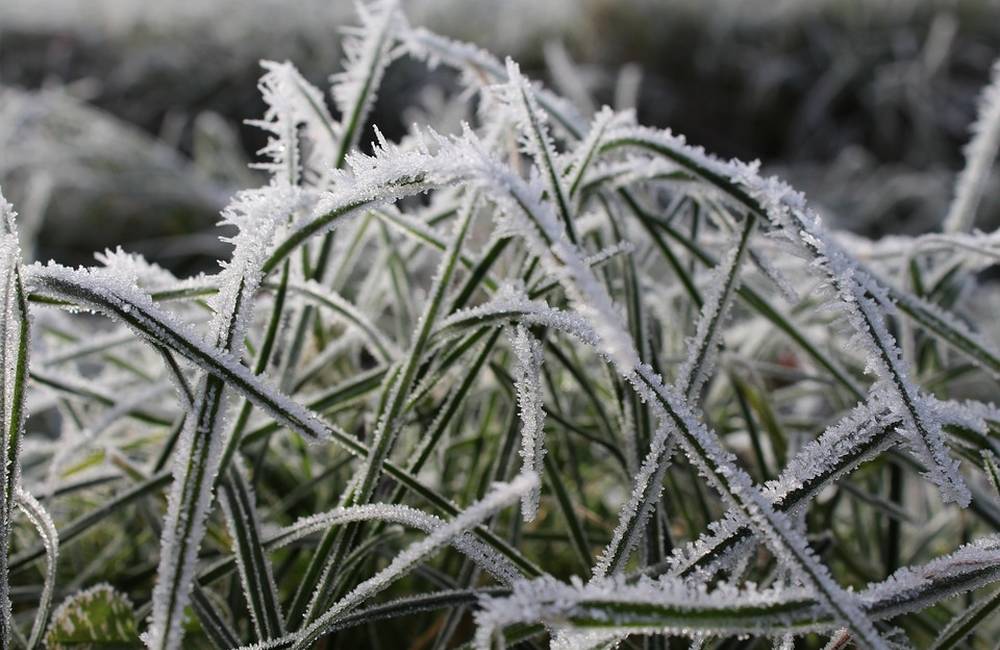 Dnes v noci sa na území Žilinského kraja očakáva výskyt mrazov, teplota môže klesnúť až na -6 °C