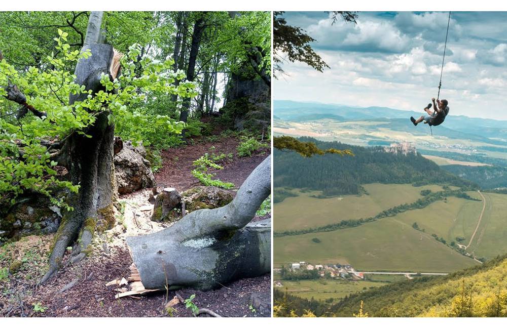 Foto: Obľúbená hojdačka v Lietavskej Svinnej je definitívne preč, strom niekto odpílil