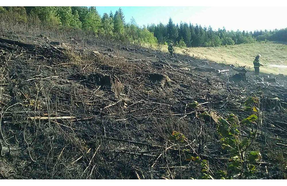 V obci Ochodnica horelo rúbanisko, hasiči požiar uhasili za pomoci 38-tisíc litrov vody