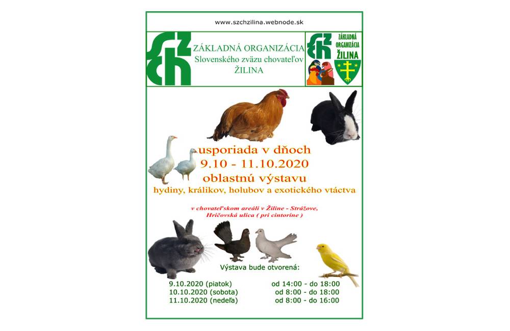 Oblastná výstava hydiny, králikov, holubov a exotického vtáctva v Strážove