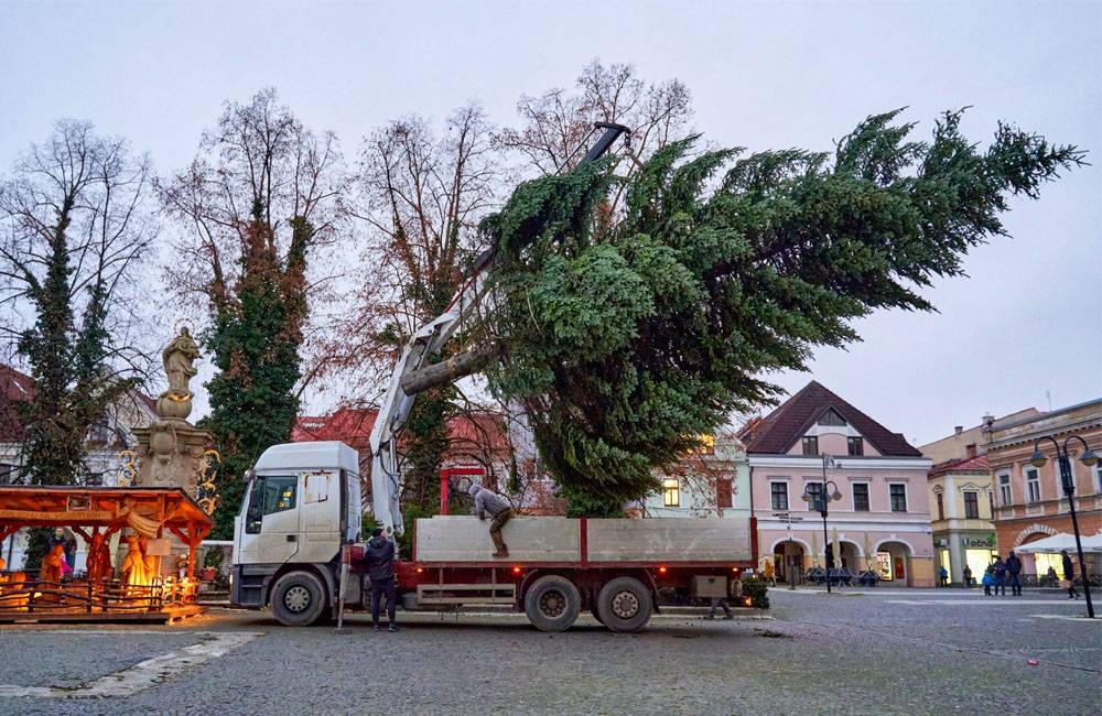 Foto: V meste a mestských častiach rozsvietia až 20 vianočných stromčekov, nový pribudne v Parku Ľ. Štúra