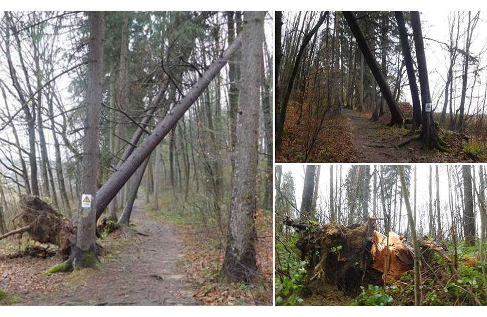 V žilinskom lesoparku odstraňujú kalamitné dreviny, do vyznačených častí sa neodporúča vstupovať