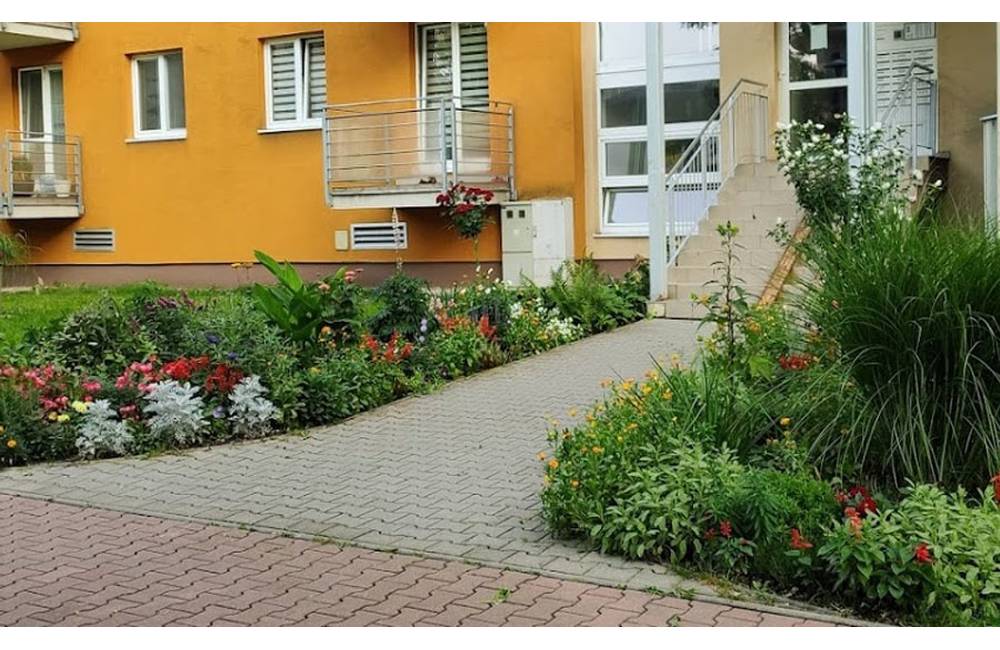 Projekt Komunitná záhrada Arboreum na Vlčincoch sa uchádza o získanie grantu, podporte ho hlasovaním