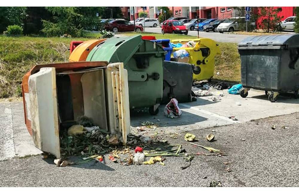 Foto: Diviaky opäť zanechali na sídlisku Hájik neporiadok, naučili sa otvárať aj nádoby na bioodpad