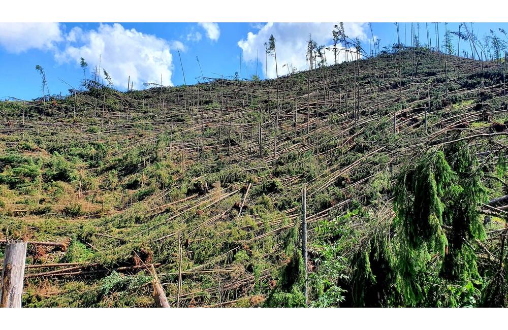 Vetrová kalamita na Liptove spôsobila veľké škody, vyvrátila viac ako 100-tisíc kubíkov dreva