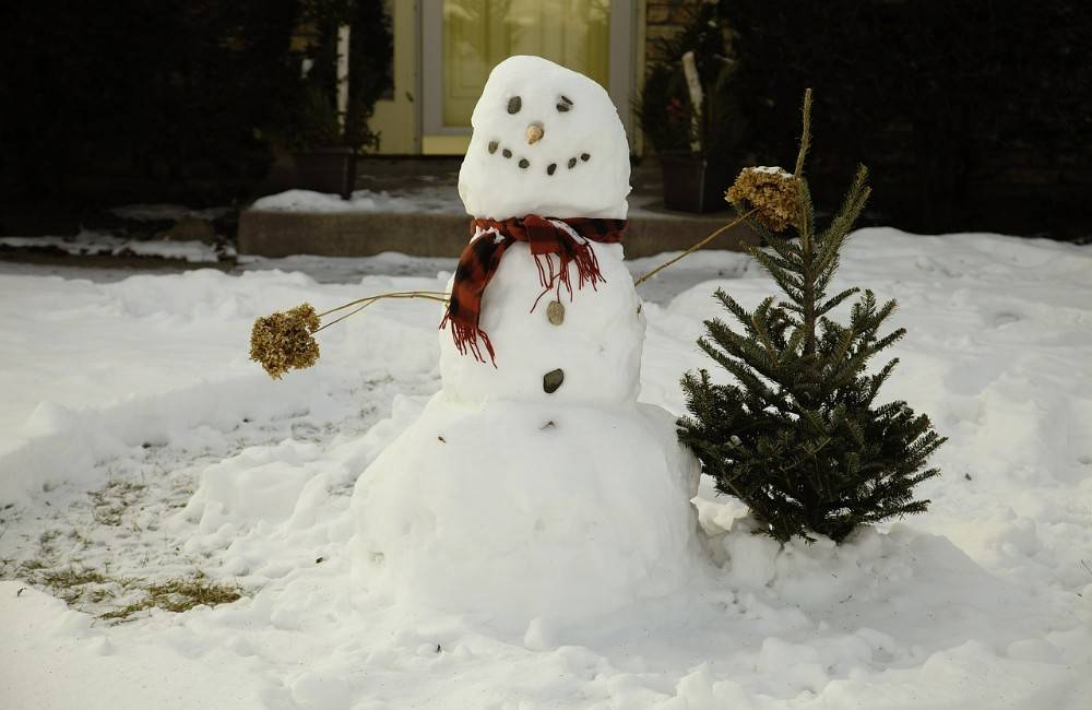 V Krásne nad Kysucou súťažia o najkrajšieho snehuliaka, prvé tri miesta vyhrajú vecné ceny