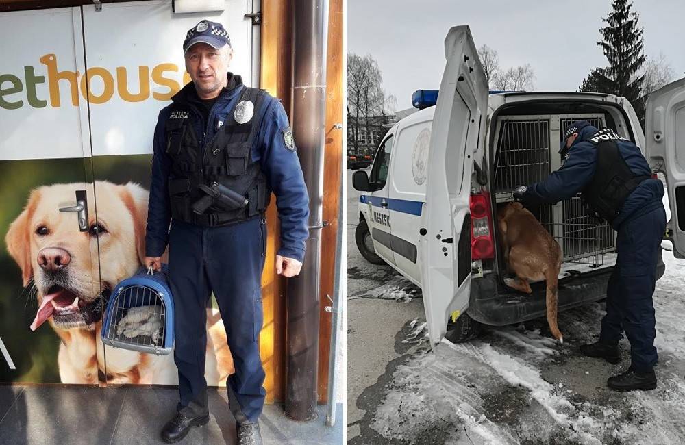 Kynológ žilinskej mestskej polície Ján Murárik: Láska k zvieratám mi bola predurčená