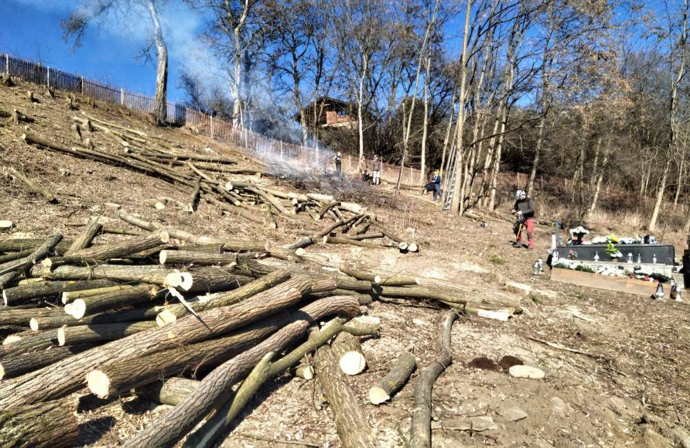 AKTUÁLNE: Na cintoríne v žilinskej mestskej časti Závodie došlo k masívnemu výrubu stromov
