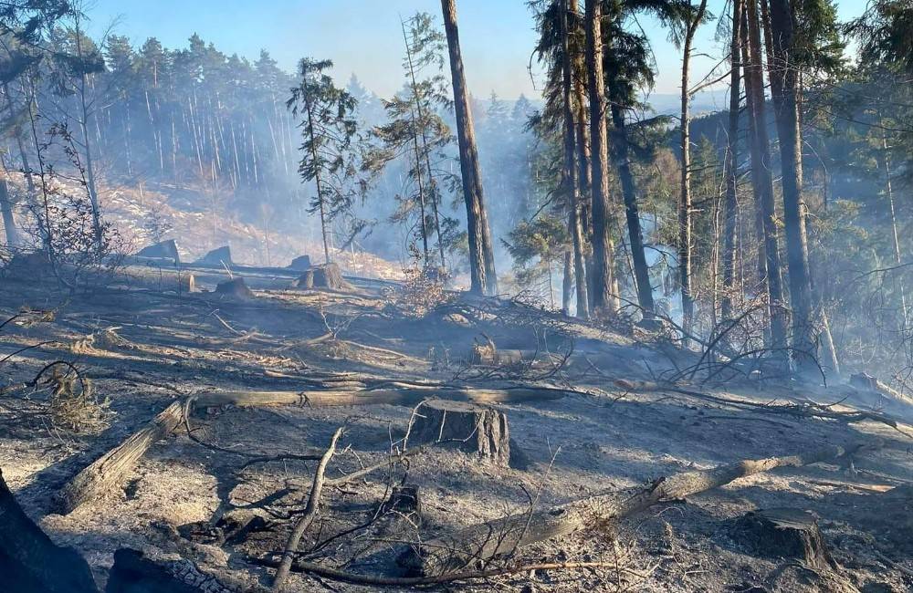 Lesný požiar pri martinskej obci Bystrička hasili niekoľko hodín, škoda bola odhadnutá na 2-tisíc eur