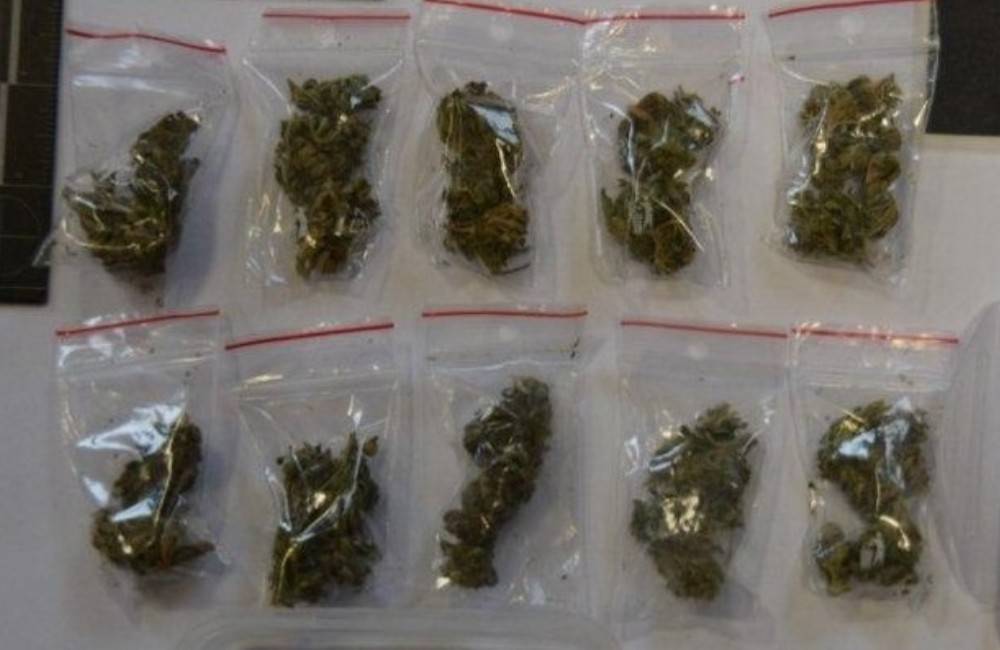 Polícia v Liptovskom Mikuláši našla pri domovej prehliadke minimálne 53 bežných dávok marihuany