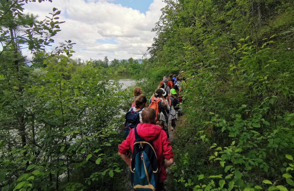 Foto: Vo štvrtok 21. apríla sa uskutoční prírodovedecká prechádzka pri Straníku s botaničkou Považského múzea
