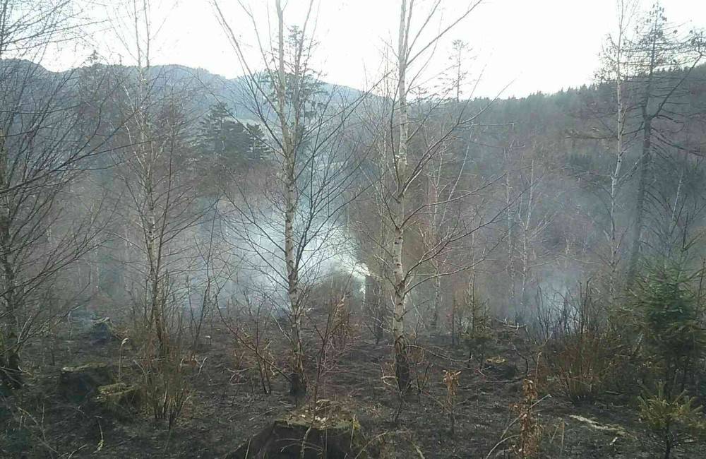 Na Kysuciach horelo 12 hektárov lesa v náročnom teréne, hasiči využili špeciálne lesné vozidlá