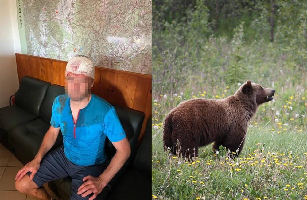 Foto: Horský záchranár, ktorý sa na Donovaloch stretol s medvedicou a mláďatami, utrpel zranenie pri úteku