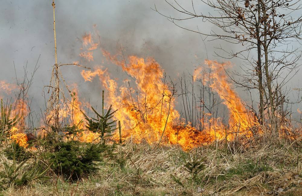 Opekanie v lesoch je na Kysuciach momentálne zakázané, platí čas zvýšeného nebezpečenstva vzniku požiaru