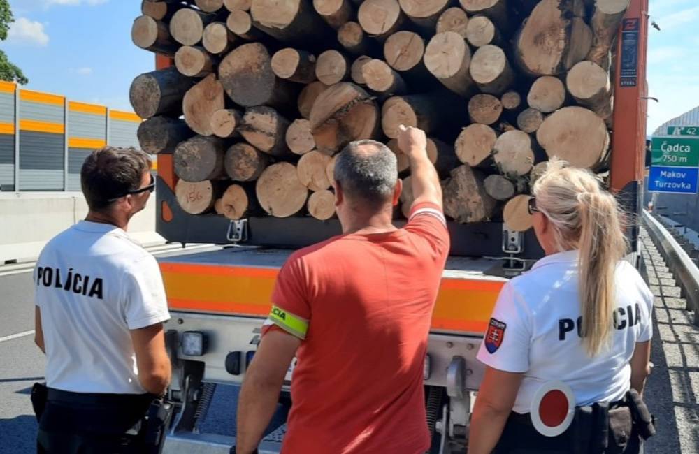 Polícia v Žiline začala systematické kontroly, chce zamedziť nelegálnym aktivitám s drevom