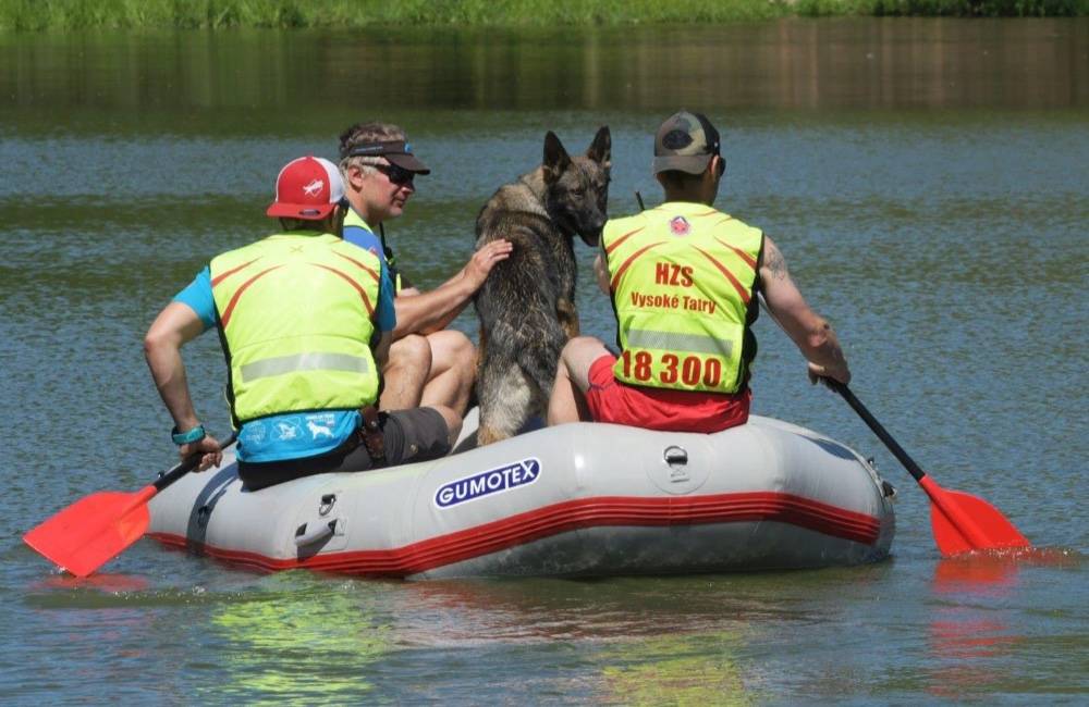 FOTO: Záchranári začali s výcvikom mladých psov, ktorí im budú pomáhať s hľadaním nezvestných osôb