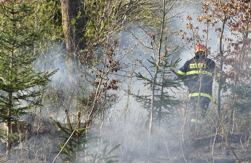Vo štvrtok popoludní vypukol na Liptove rozsiahly požiar, ktorý zasiahol jeden hektár lesa vo Veľkej Fatre